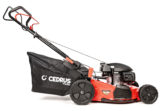 Samohodna benzinska kosilica Cedrus Premium LP53S-H, Honda, 53 cm