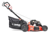 Samohodna benzinska kosilica Cedrus Premium LP53S-L, Loncin, 53 cm